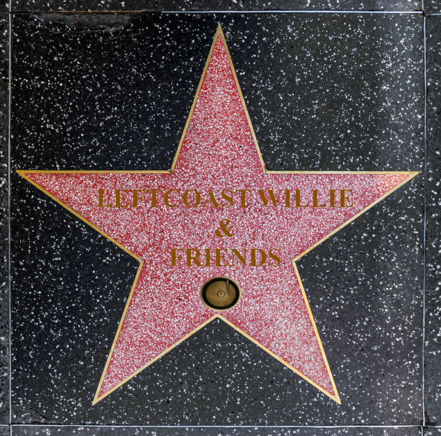 hollywood-walk-of-fame-star lcw2